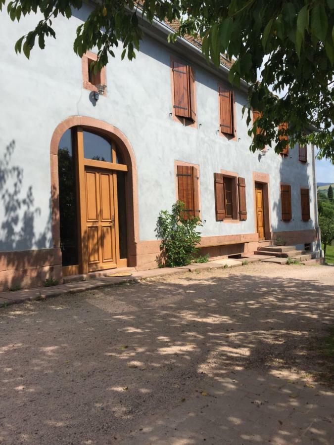 Gite Le Vieux Ruisseau Sauna Et Massages Lapoutroie Luaran gambar
